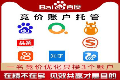 行业领先企业的sem代运营公司合作经验